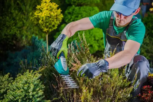 landscaping services Woburn